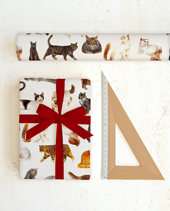 Paper "Gatti"