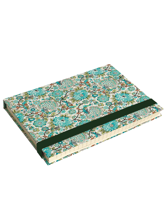 Journal intime "Pavone"