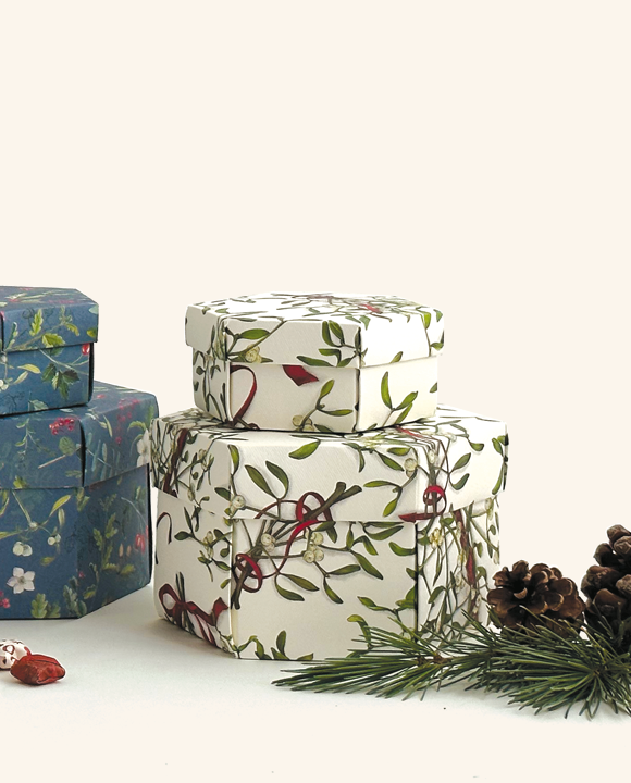 Set 2 hexagon gift boxes with lid - Vischio