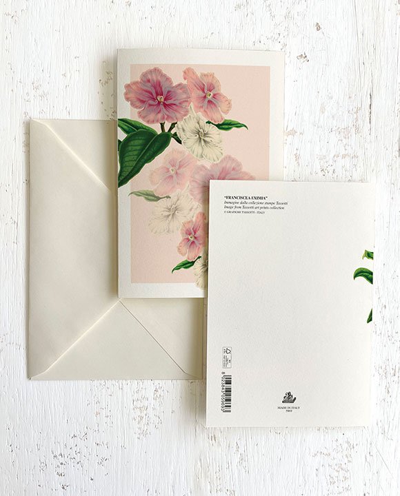 Card "Franciscea Eximia"