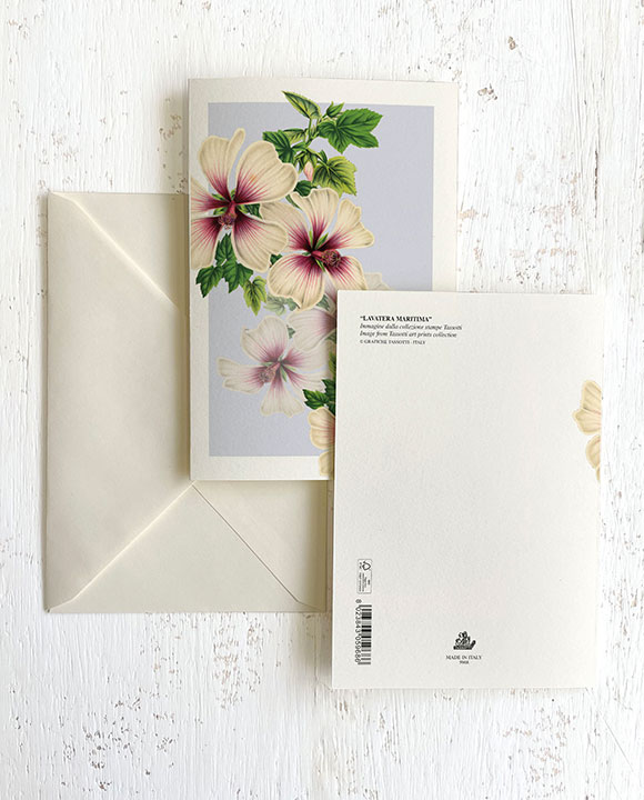 Card "Lavatera Maritima"