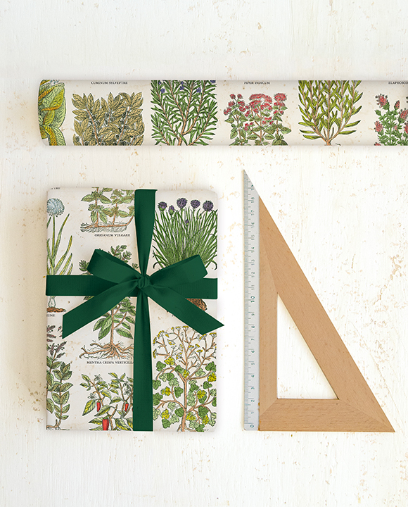 Papier "Erbe da cucina"