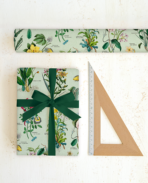 Flora