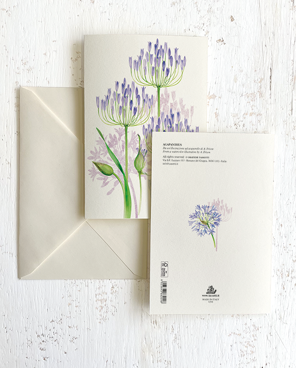 Carte "Agapanthus"