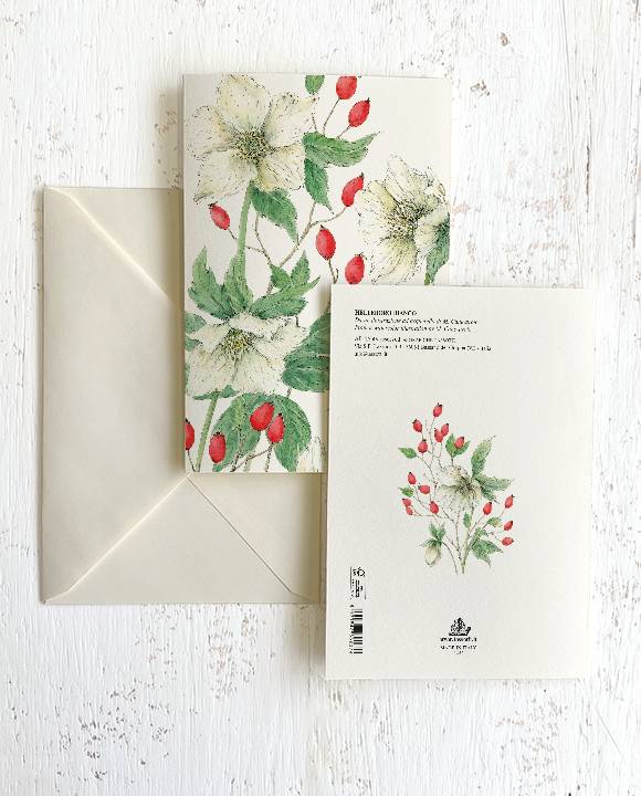 Card "Helleboro bianco"