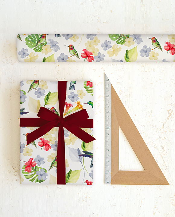 Paper "Colibrì"