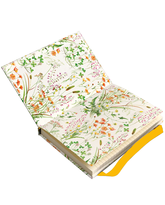 Diario "Fiori Spontanei"