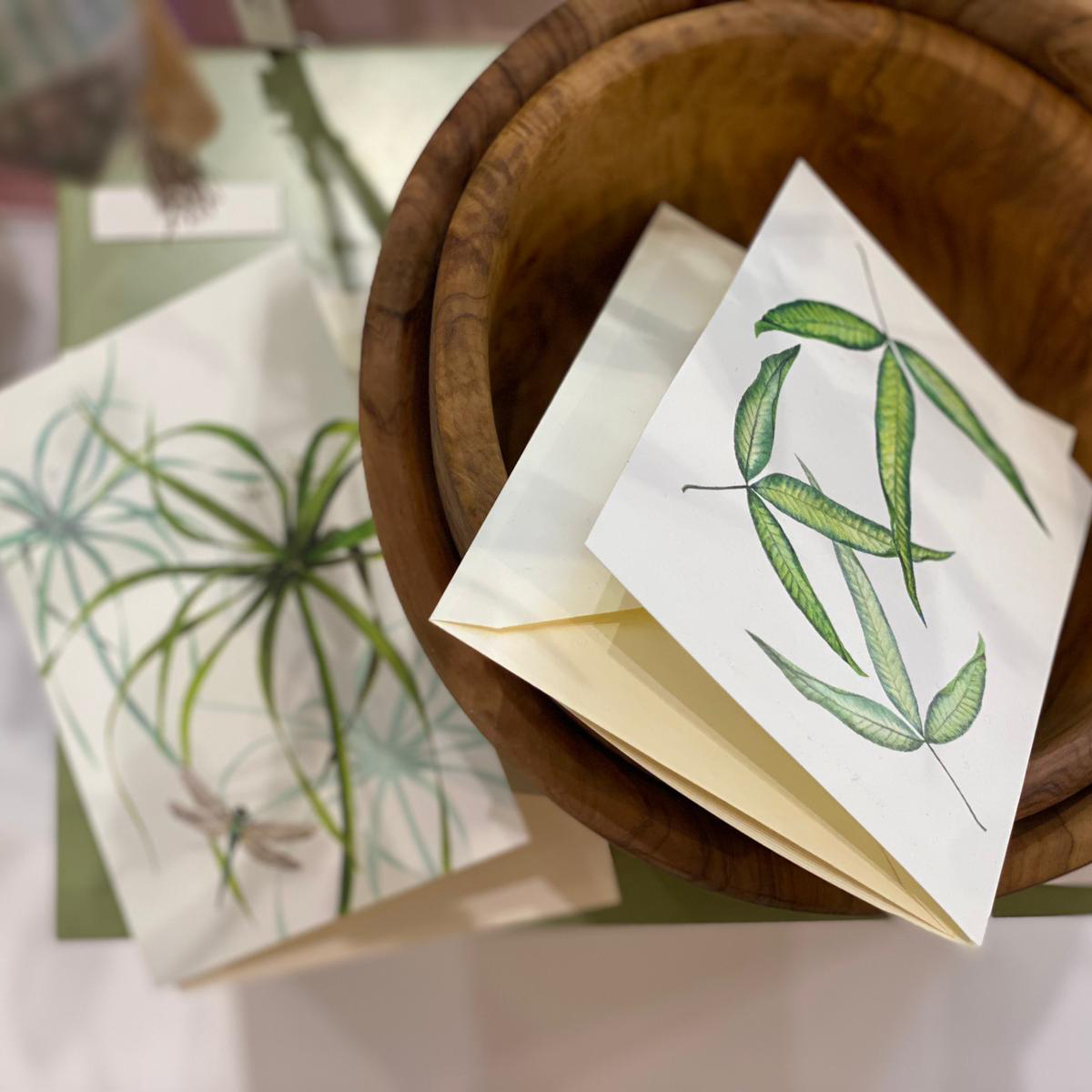 Ambiente Trends 23+