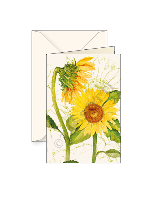 Card "Two Sunflowers"