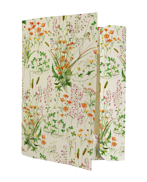 Carpetta "Fiori Spontanei"