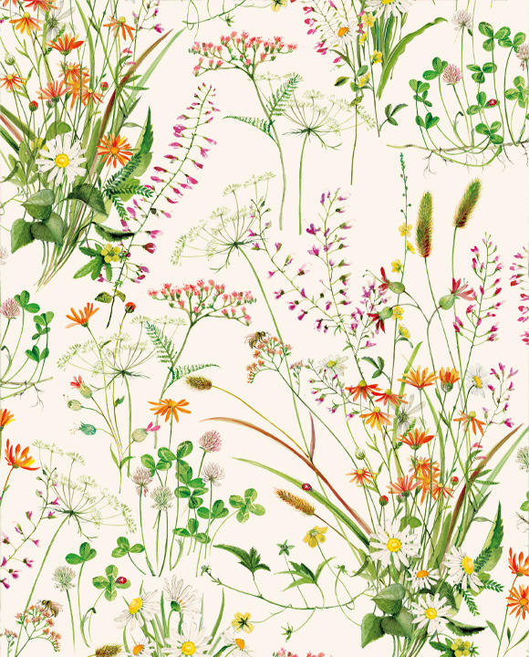 Paper "Fiori spontanei"