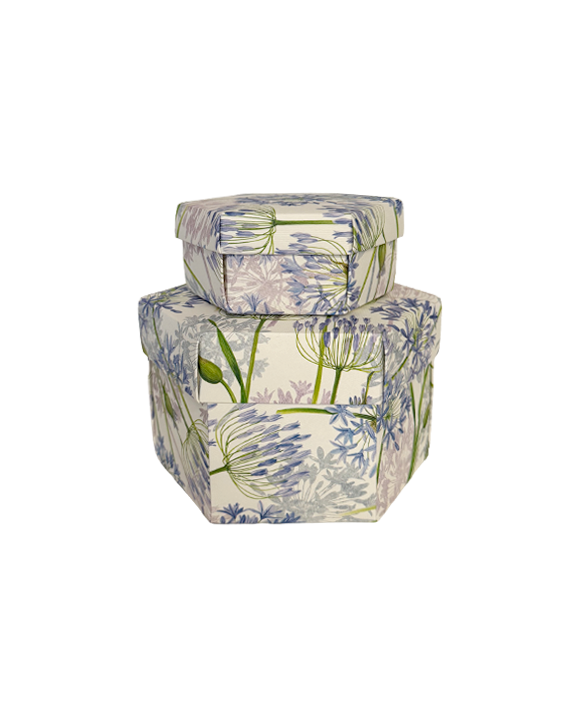 Set 2 hexagon gift boxes with lid - Agapanthus