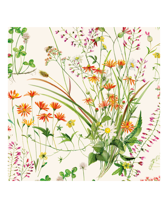 Origami Paper "Fiori Spontanei"