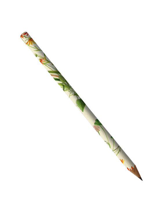 Pencil "Fiori Spontanei"